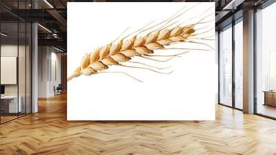 A single ear of wheat, isolated on a white background Wall mural