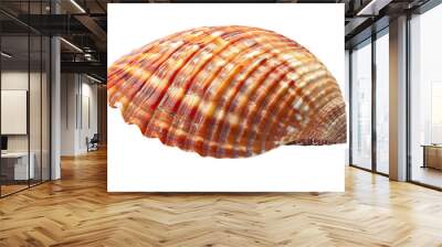 Beautiful sea shell with red and white stripes isolated on transparent background Wall mural