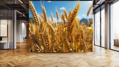 field of ripen wheat crop photo Wall mural