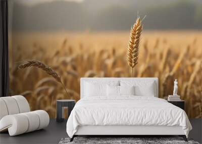 golden wheat field Wall mural