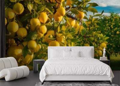 lamon tree Wall mural