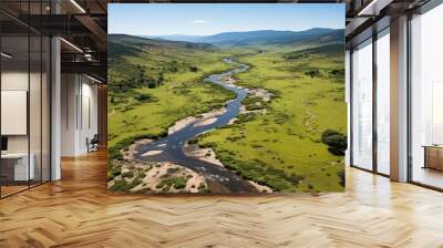 River and green forest  Wall mural