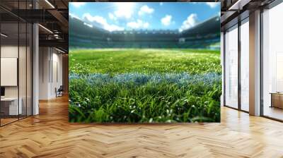 sky blue day sunny stadium pitch football grassy game sport green background nobody grass sunlight outdoors field nature sunshine natural architecture ...   Wall mural