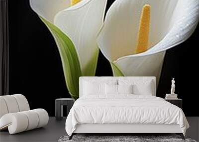 white calla lilies Wall mural