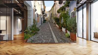 A narrow street among the old houses of Baselice, a small town in the province of Benevento, Italy. Wall mural