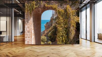 Summer in Polignano a mare. View of Puglia' sea, near Bari. Panoramic view of sea polignano a mare, a city in Puglia ( apulia) during a sunny day.  It is a very perfect turist destination in the summe Wall mural