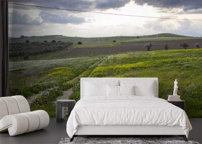 QUARTU S.E.: Campagna sul lago Simbiritzi Sardegna Wall mural