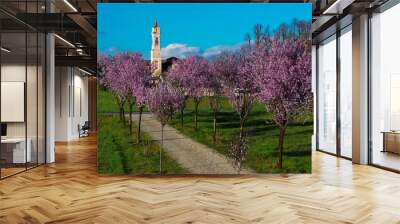 Flowered avenue and San Giuliano Nuovo church Alessandria, Piedmont, Italy Wall mural