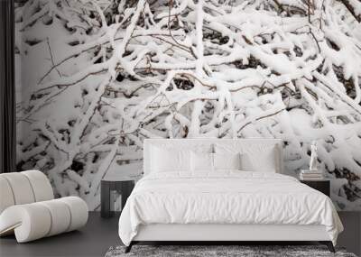 Snow fall over the branches texture close up Wall mural