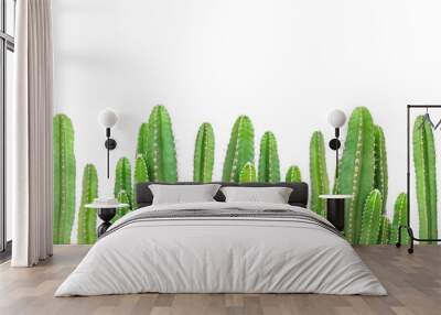 Cactus on isolated background Wall mural