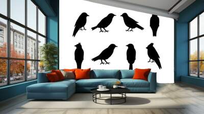 Set of silhouettes of birds on white background Wall mural