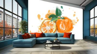 orange fruit vector illustration in watercolor paint. hand drawn citrus.  Wall mural