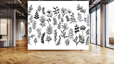 vector botanical doodles illustration elements. hand drawn drawing sketch. leaves leaf grass rowan Wall mural