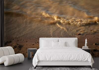 Waves on the beach Wall mural