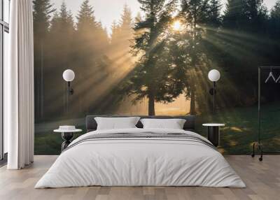 Sunshine that dispels the thick fog in the Carpathian forest Wall mural