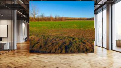 Fall farmland in the Canadian countryside in the province of Quebec Wall mural