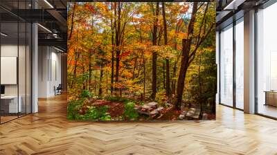 Magnificent autumn landscapes in the Canadian countryside in the province of Quebec Wall mural