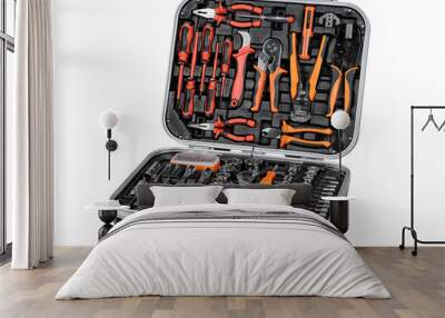 Hand tools kit set in plastic case. Wall mural