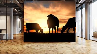 A herd of cows at sunset Wall mural