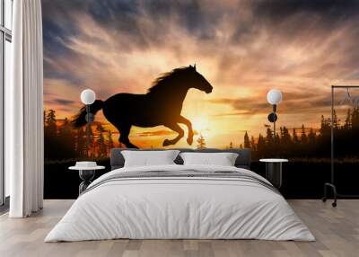 Free horse run at sunset Wall mural