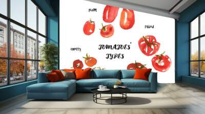 Italian tomatoes types: cherry, ribbed, plum. Modern watercolor food illustration. Isolated on white background. Wall mural