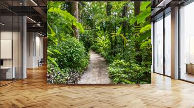 Flower Forest Botanical Garden, Barbados: thick and lush tropical vegetation walking inside the forest. Wall mural