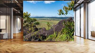 Panorama  landscape of Canaima National Park (Bolivar, Venezuela). Wall mural