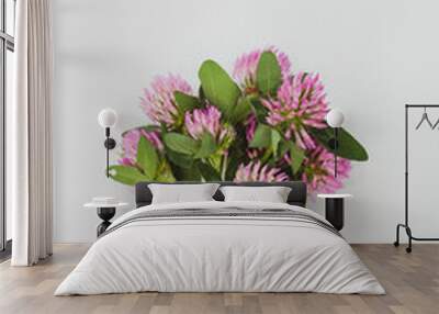 Vertical shot of a bouquet of red clovers isolated on a gray background with space for text Wall mural