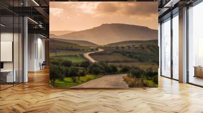 scenic view of cretan landscape at sunset.Typical for the region olive groves, olive fields, vineyard and narrow roads up to the hills. Wall mural