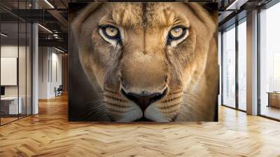 Super close-up portrait of a lion looking at the camera, only the face appears. Wall mural