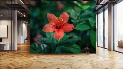 A red blossom is growing in the garden Wall mural