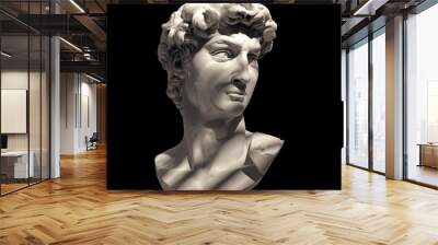 David carved by Michelangelo bust isolated on black. High quality detailed monochrome illustration. 3D rendering Wall mural