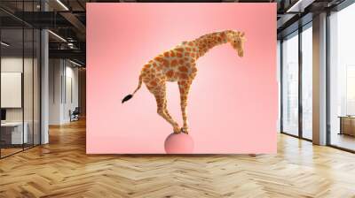 Giraffe swinging on an pink ball. 3D illustration Wall mural