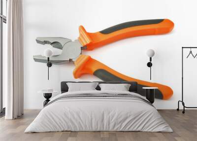 Combination pliers tool Wall mural