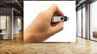 Flash drive in hand Wall mural