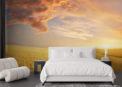 Meadow of wheat. Wall mural