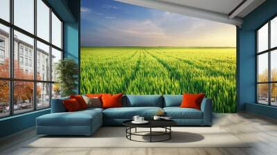 Meadow of wheat Wall mural