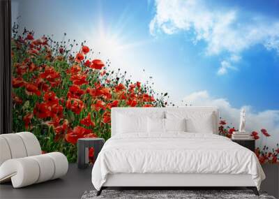 Poppies hill Wall mural