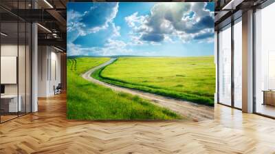 Road lane and deep blue sky Wall mural