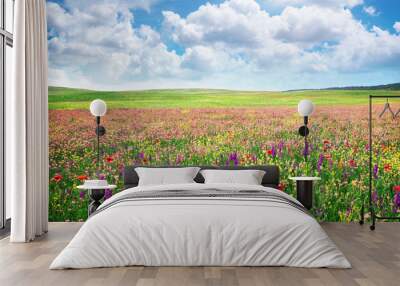 Spring flower meadow Wall mural