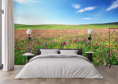 Spring flower meadow Wall mural