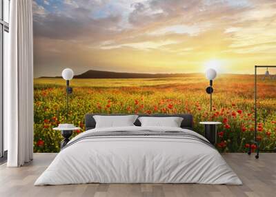 Spring flowers in meadow. Wall mural