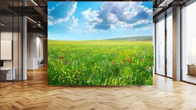 Spring meadow of flowers Wall mural