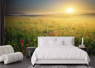 Spring meadow Wall mural