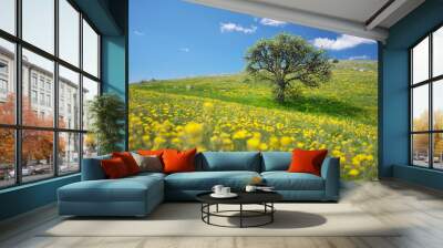 Tree and yellow flowers in mountain meadow Wall mural