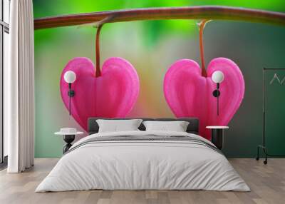 Two heart flower Wall mural