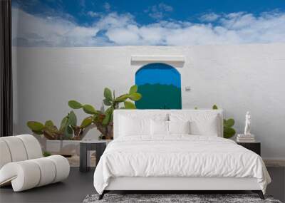 Cactus in front of white wall and mediterranean door in Ostuni, Italy. Wall mural