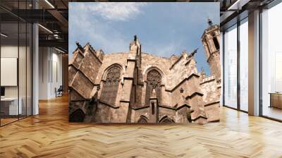 Barcelona Cathedral Wall mural