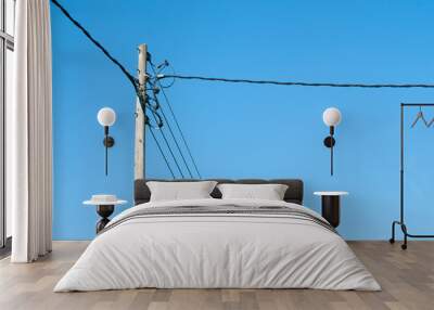 Electric pole Wall mural