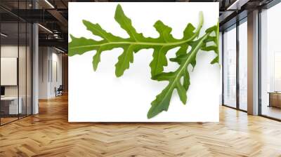 Close up studio shot of green fresh rucola isolated on white background. Wall mural